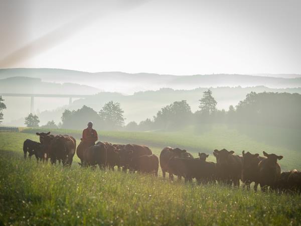 Natur pur - Folgen Sie uns auch auf Facebook