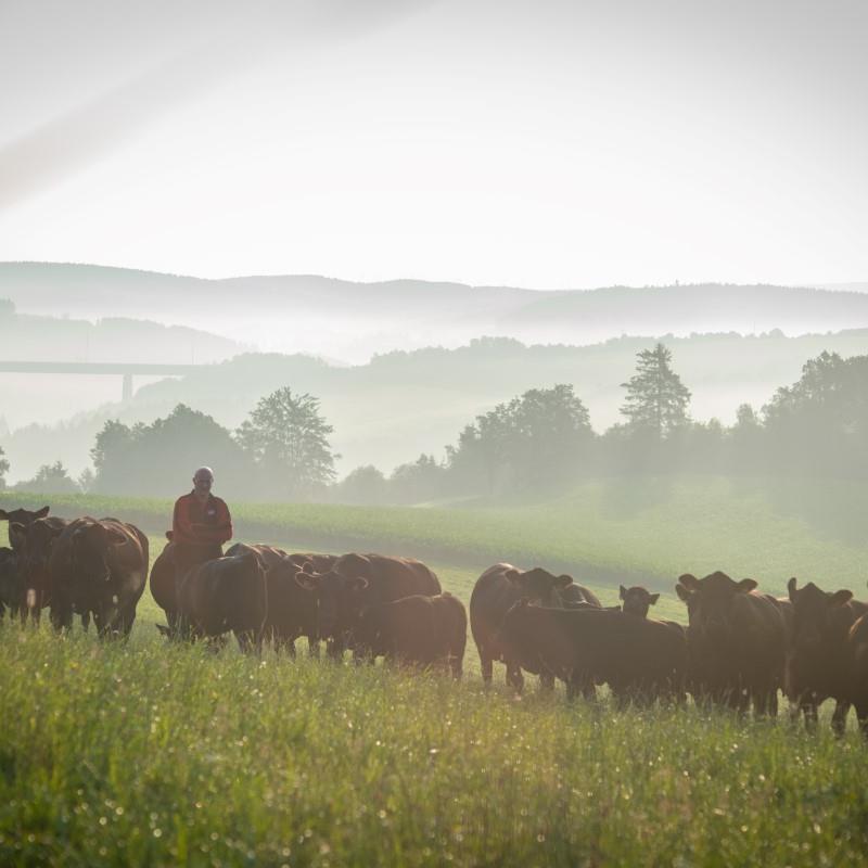 La nature à l'état pur - Suivez-nous également sur Facebook