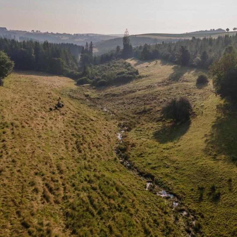 Bis zum Schluss in der Natur