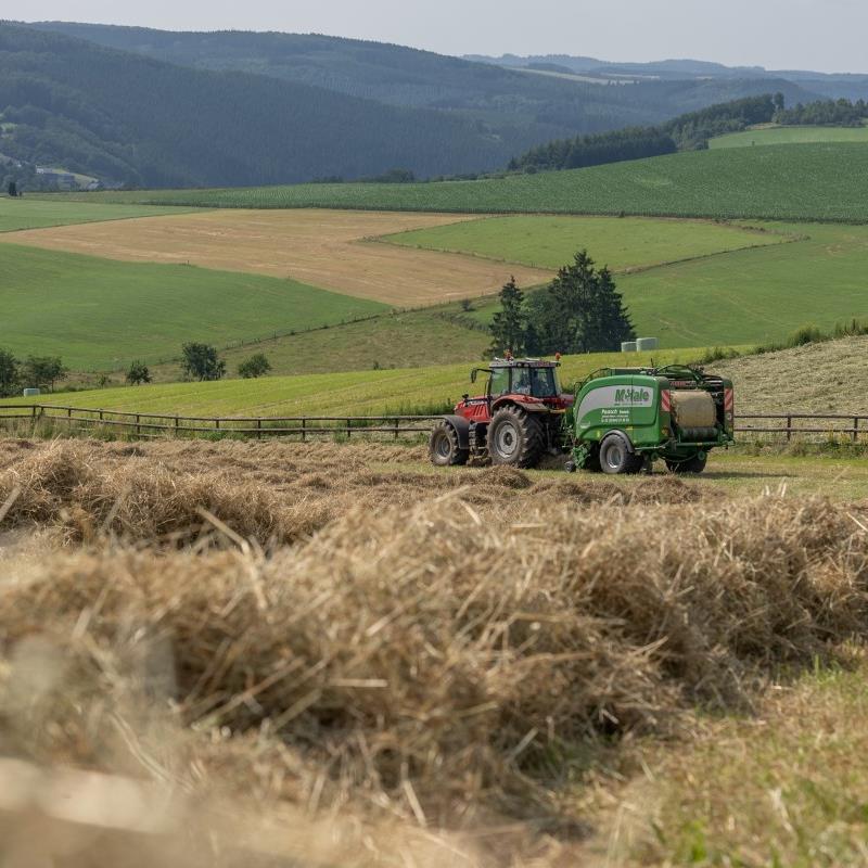 Nous cultivons nos propres aliments