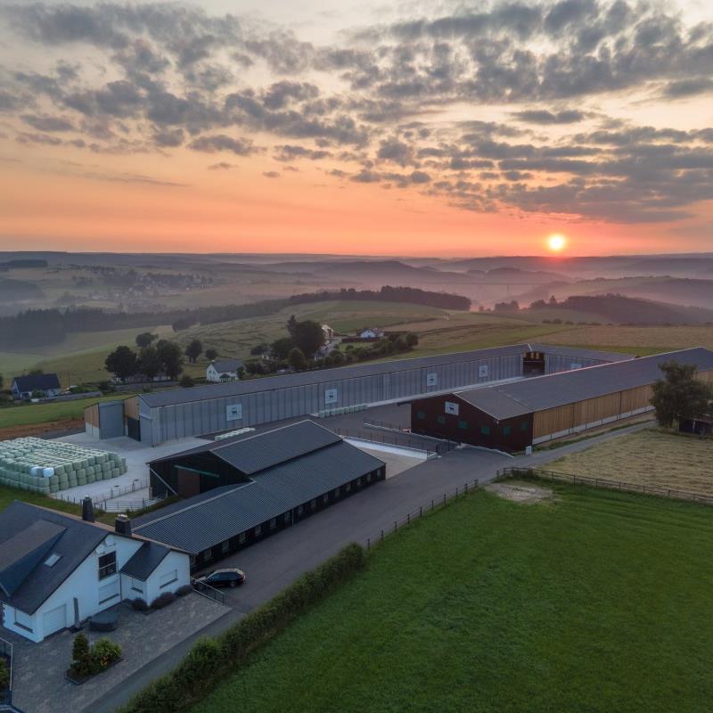 Eifel Angus Farm